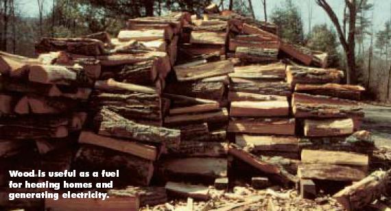 We have the best firewood in the business!